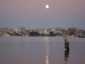 DSC05548