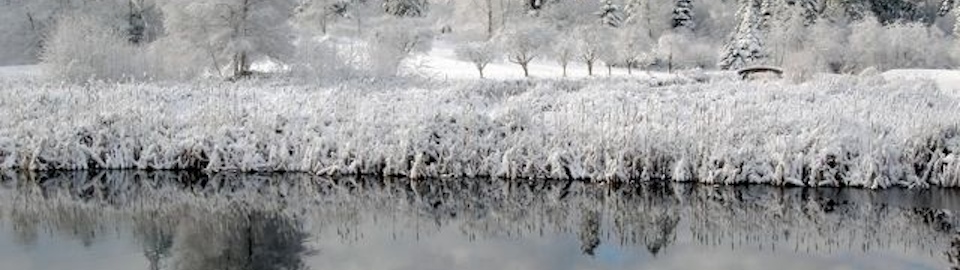 frostsm