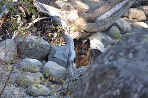 DSC_0302 DSC_0302