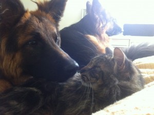 kipling loves eartha kipling loves eartha