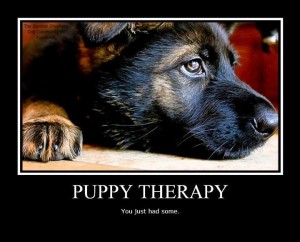 Puppy Therapy