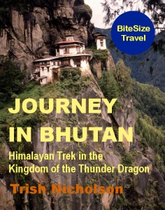 Journey-In-Bhutan-236×300