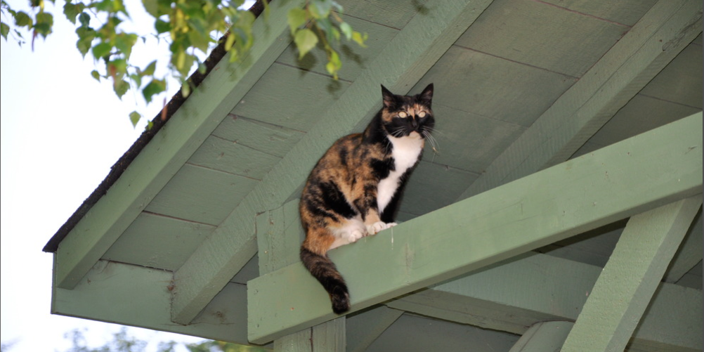 Screen-shot-2012-01-06-at-12.44.57-PM