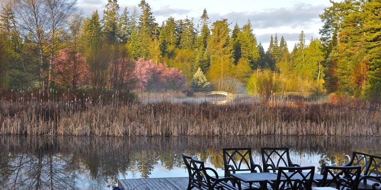 Spring-Across-the-Pond