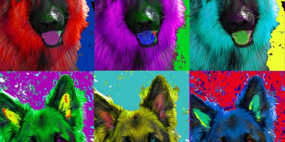 Zippy-Warhol-953×1024